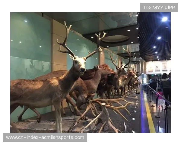 主场展览与博物馆模式增强球迷历史认同感 主场展览与博物馆模式增强球迷历史认同感